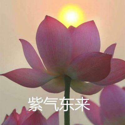 王朝崛起手游变态版下载